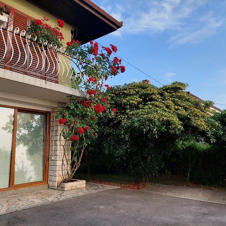 Apartma Niko Piran Dış mekan fotoğraf